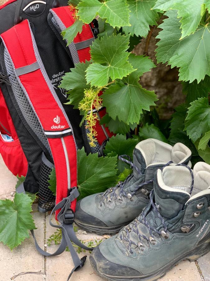 Auszeit Im Ahrtal Leilighet Bad Neuenahr-Ahrweiler Eksteriør bilde
